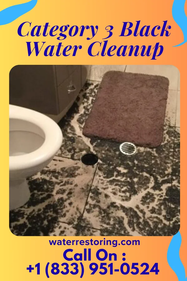 Category 3 Black Water Cleanup in Enon Valley, PA