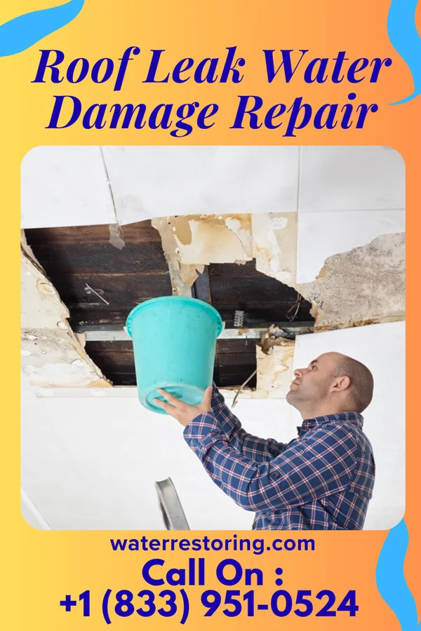 Roof Leak Water Damage Repair in Enon Valley, PA