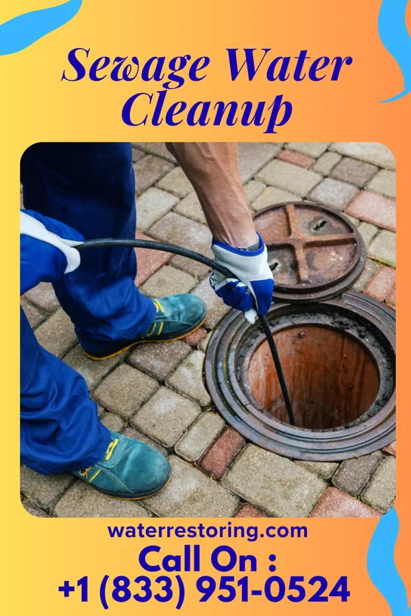 Sewage Water Cleanup in Enon Valley, PA