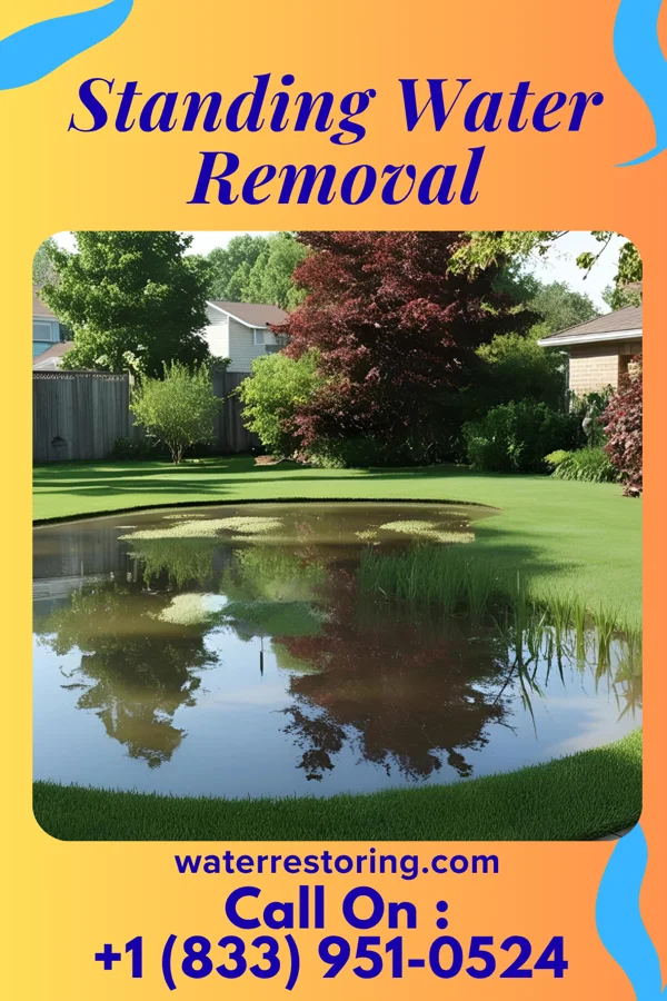 Standing Water Removal in Enon Valley, PA